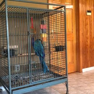 Meet your Posher, Leslie